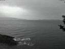 ./images/koeye/fitz-hugh/20181124/fitz-hugh20181124_171001.jpg