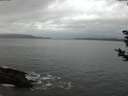 ./images/koeye/fitz-hugh/20181125/fitz-hugh20181125_073501.jpg