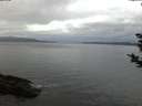 ./images/koeye/fitz-hugh/20181125/fitz-hugh20181125_074001.jpg