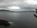 ./images/koeye/fitz-hugh/20181125/fitz-hugh20181125_080002.jpg