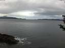 ./images/koeye/fitz-hugh/20181125/fitz-hugh20181125_080501.jpg