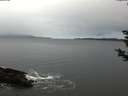 ./images/koeye/fitz-hugh/20181125/fitz-hugh20181125_082502.jpg