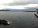 ./images/koeye/fitz-hugh/20181125/fitz-hugh20181125_090501.jpg