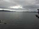 ./images/koeye/fitz-hugh/20181125/fitz-hugh20181125_110501.jpg