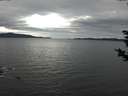 ./images/koeye/fitz-hugh/20181125/fitz-hugh20181125_111502.jpg