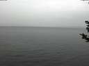 ./images/koeye/fitz-hugh/20181125/fitz-hugh20181125_124501.jpg