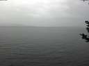 ./images/koeye/fitz-hugh/20181125/fitz-hugh20181125_132501.jpg