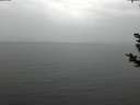 ./images/koeye/fitz-hugh/20181125/fitz-hugh20181125_133501.jpg