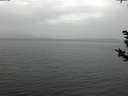 ./images/koeye/fitz-hugh/20181125/fitz-hugh20181125_135501.jpg