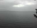 ./images/koeye/fitz-hugh/20181125/fitz-hugh20181125_140002.jpg