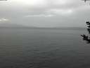 ./images/koeye/fitz-hugh/20181125/fitz-hugh20181125_140502.jpg