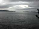 ./images/koeye/fitz-hugh/20181125/fitz-hugh20181125_145502.jpg
