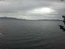 ./images/koeye/fitz-hugh/20181125/fitz-hugh20181125_150501.jpg