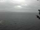 ./images/koeye/fitz-hugh/20181125/fitz-hugh20181125_153501.jpg