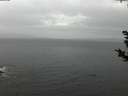 ./images/koeye/fitz-hugh/20181125/fitz-hugh20181125_154501.jpg