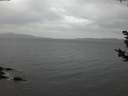 ./images/koeye/fitz-hugh/20181125/fitz-hugh20181125_163501.jpg