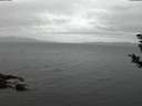 ./images/koeye/fitz-hugh/20181125/fitz-hugh20181125_165001.jpg