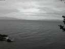 ./images/koeye/fitz-hugh/20181125/fitz-hugh20181125_165502.jpg
