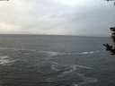 ./images/koeye/fitz-hugh/20181127/fitz-hugh20181127_161001.jpg
