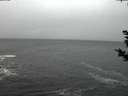 ./images/koeye/fitz-hugh/20181127/fitz-hugh20181127_165502.jpg