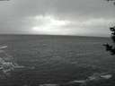 ./images/koeye/fitz-hugh/20181127/fitz-hugh20181127_170502.jpg