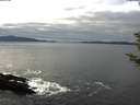 ./images/koeye/fitz-hugh/20181130/fitz-hugh20181130_122502.jpg