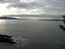 ./images/koeye/fitz-hugh/20181130/fitz-hugh20181130_140501.jpg