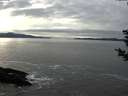 ./images/koeye/fitz-hugh/20181130/fitz-hugh20181130_141501.jpg