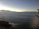 ./images/koeye/fitz-hugh/20181202/fitz-hugh20181202_134501.jpg