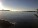 ./images/koeye/fitz-hugh/20181202/fitz-hugh20181202_144502.jpg