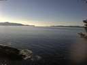 ./images/koeye/fitz-hugh/20181203/fitz-hugh20181203_135501.jpg