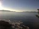 ./images/koeye/fitz-hugh/20181203/fitz-hugh20181203_143501.jpg
