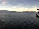 ./images/koeye/fitz-hugh/20181204/fitz-hugh20181204_110501.jpg