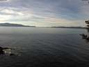 ./images/koeye/fitz-hugh/20181204/fitz-hugh20181204_123501.jpg