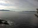 ./images/koeye/fitz-hugh/20181204/fitz-hugh20181204_132502.jpg