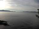 ./images/koeye/fitz-hugh/20181204/fitz-hugh20181204_134002.jpg