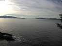 ./images/koeye/fitz-hugh/20181204/fitz-hugh20181204_134502.jpg