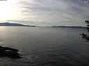 ./images/koeye/fitz-hugh/20181204/fitz-hugh20181204_135002.jpg