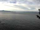./images/koeye/fitz-hugh/20181206/fitz-hugh20181206_111502.jpg