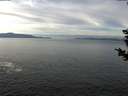 ./images/koeye/fitz-hugh/20181206/fitz-hugh20181206_113502.jpg