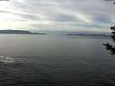 ./images/koeye/fitz-hugh/20181206/fitz-hugh20181206_114002.jpg