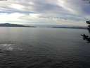 ./images/koeye/fitz-hugh/20181206/fitz-hugh20181206_120501.jpg