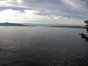 ./images/koeye/fitz-hugh/20181206/fitz-hugh20181206_122001.jpg
