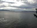 ./images/koeye/fitz-hugh/20181207/fitz-hugh20181207_125001.jpg