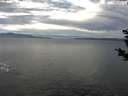 ./images/koeye/fitz-hugh/20181207/fitz-hugh20181207_125501.jpg