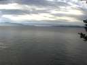 ./images/koeye/fitz-hugh/20181207/fitz-hugh20181207_130501.jpg