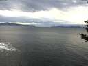 ./images/koeye/fitz-hugh/20181207/fitz-hugh20181207_133501.jpg