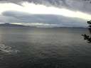 ./images/koeye/fitz-hugh/20181207/fitz-hugh20181207_135001.jpg