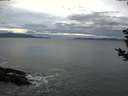 ./images/koeye/fitz-hugh/20181207/fitz-hugh20181207_155001.jpg