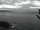./images/koeye/fitz-hugh/20181208/fitz-hugh20181208_074001.jpg